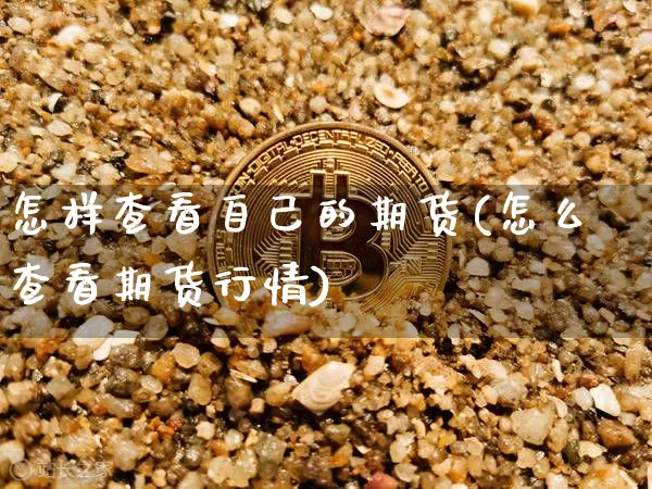 怎样查看自己的期货(怎么查看期货行情)_https://m.zghnxxa.com_原油直播_第1张