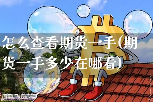 怎么查看期货一手(期货一手多少在哪看)_https://m.zghnxxa.com_天然气期货_第1张