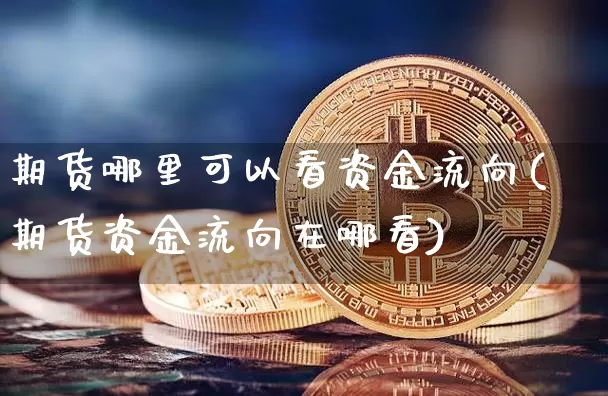 期货哪里可以看资金流向(期货资金流向在哪看)_https://m.zghnxxa.com_天然气期货_第1张