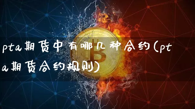 pta期货中有哪几种合约(pta期货合约规则)_https://m.zghnxxa.com_纳指期货_第1张