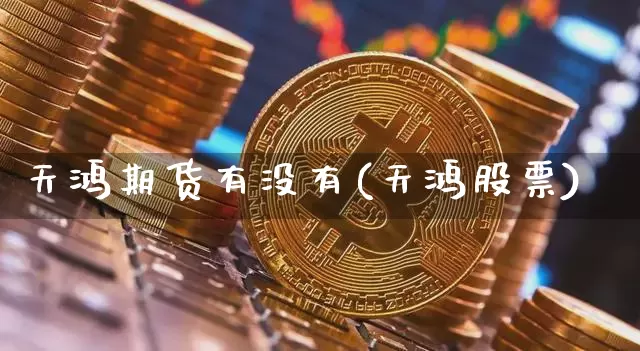 天鸿期货有没有(天鸿股票)_https://m.zghnxxa.com_期货资讯_第1张