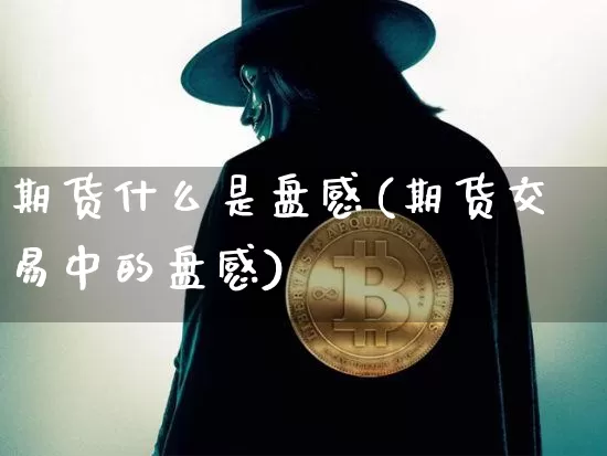 期货什么是盘感(期货交易中的盘感)_https://m.zghnxxa.com_天然气期货_第1张