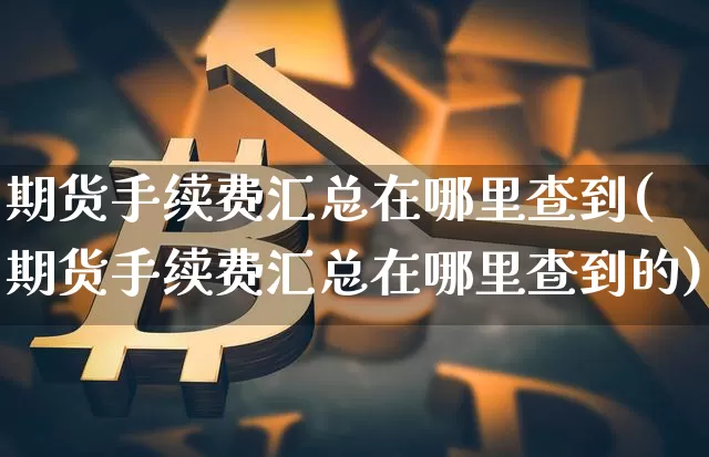 期货手续费汇总在哪里查到(期货手续费汇总在哪里查到的)_https://m.zghnxxa.com_期货资讯_第1张