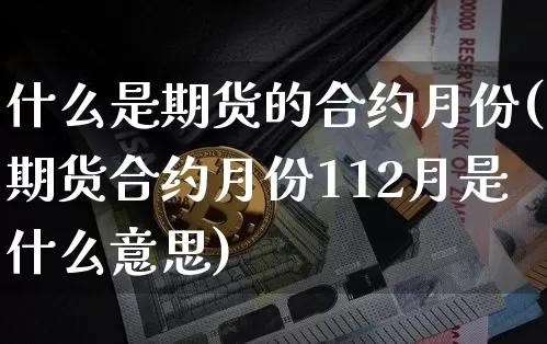 什么是期货的合约月份(期货合约月份112月是什么意思)_https://m.zghnxxa.com_纳指期货_第1张