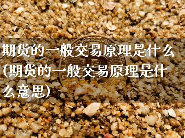 期货的一般交易原理是什么(期货的一般交易原理是什么意思)_https://m.zghnxxa.com_纳指期货_第1张