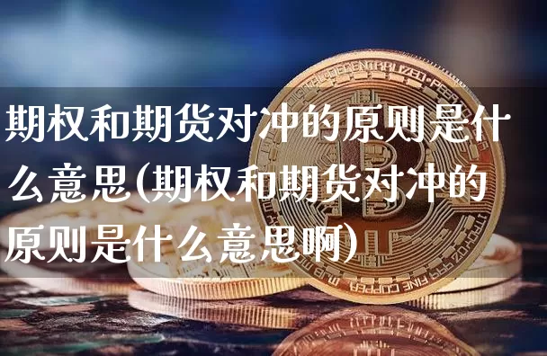 期权和期货对冲的原则是什么意思(期权和期货对冲的原则是什么意思啊)_https://m.zghnxxa.com_天然气期货_第1张