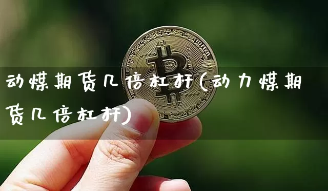 动煤期货几倍杠杆(动力煤期货几倍杠杆)_https://m.zghnxxa.com_天然气期货_第1张