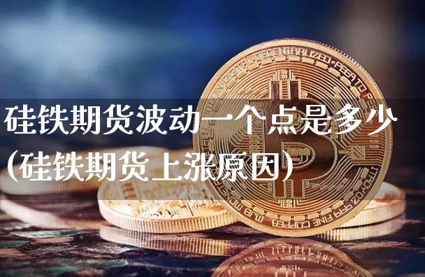 硅铁期货波动一个点是多少(硅铁期货上涨原因)_https://m.zghnxxa.com_期货资讯_第1张