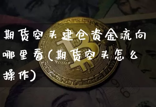 期货空头建仓资金流向哪里看(期货空头怎么操作)_https://m.zghnxxa.com_纳指期货_第1张