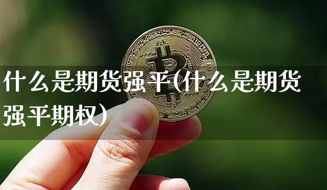 什么是期货强平(什么是期货强平期权)_https://m.zghnxxa.com_天然气期货_第1张