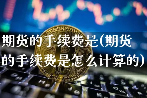 期货的手续费是(期货的手续费是怎么计算的)_https://m.zghnxxa.com_期货资讯_第1张