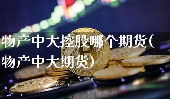 物产中大控股哪个期货(物产中大期货)_https://m.zghnxxa.com_恒指期货_第1张