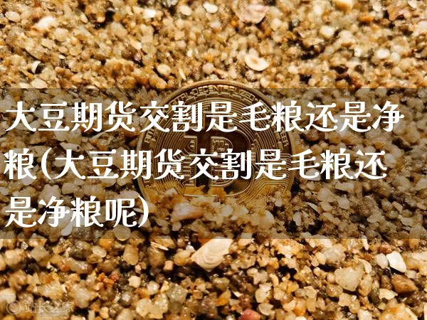 大豆期货交割是毛粮还是净粮(大豆期货交割是毛粮还是净粮呢)_https://m.zghnxxa.com_恒指期货_第1张