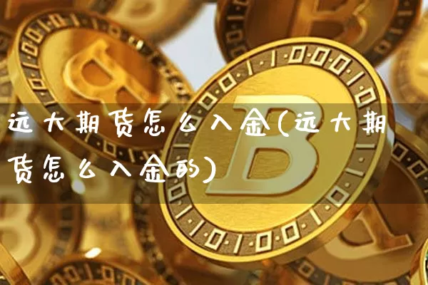 远大期货怎么入金(远大期货怎么入金的)_https://m.zghnxxa.com_恒指期货_第1张