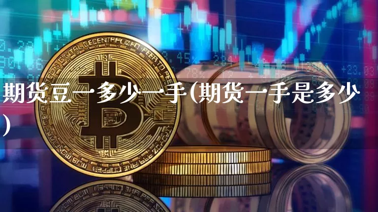 期货豆一多少一手(期货一手是多少)_https://m.zghnxxa.com_天然气期货_第1张