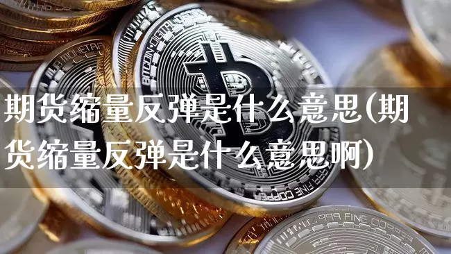 期货缩量反弹是什么意思(期货缩量反弹是什么意思啊)_https://m.zghnxxa.com_原油直播_第1张
