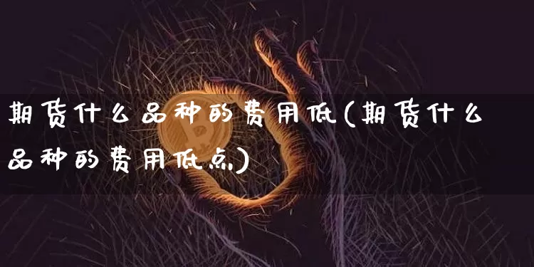 期货什么品种的费用低(期货什么品种的费用低点)_https://m.zghnxxa.com_恒指期货_第1张