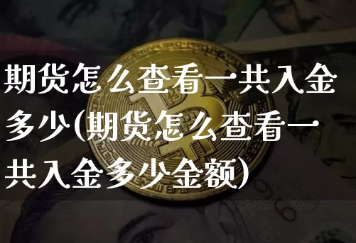 期货怎么查看一共入金多少(期货怎么查看一共入金多少金额)_https://m.zghnxxa.com_天然气期货_第1张