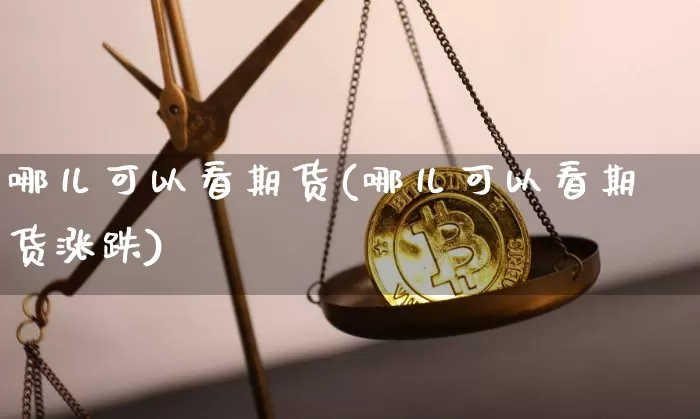 哪儿可以看期货(哪儿可以看期货涨跌)_https://m.zghnxxa.com_原油直播_第1张