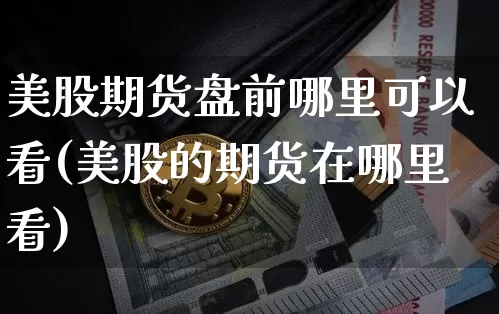 美股期货盘前哪里可以看(美股的期货在哪里看)_https://m.zghnxxa.com_股指期货_第1张