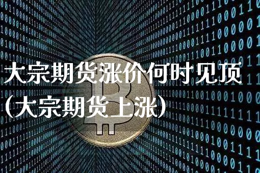 大宗期货涨价何时见顶(大宗期货上涨)_https://m.zghnxxa.com_恒指期货_第1张