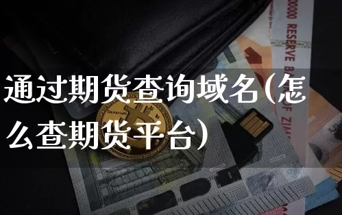 通过期货查询域名(怎么查期货平台)_https://m.zghnxxa.com_原油直播_第1张
