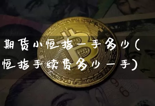 期货小恒指一手多少(恒指手续费多少一手)_https://m.zghnxxa.com_天然气期货_第1张