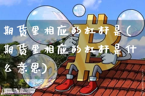 期货里相应的杠杆是(期货里相应的杠杆是什么意思)_https://m.zghnxxa.com_原油直播_第1张