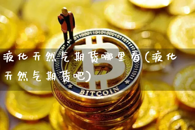 液化天然气期货哪里看(液化天然气期货吧)_https://m.zghnxxa.com_恒指期货_第1张