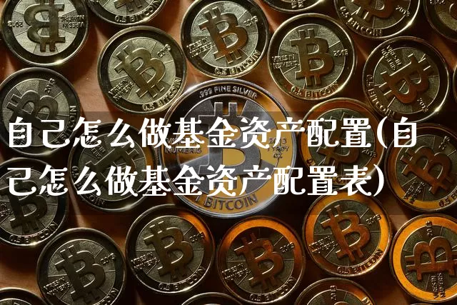 自己怎么做基金资产配置(自己怎么做基金资产配置表)_https://m.zghnxxa.com_股指期货_第1张
