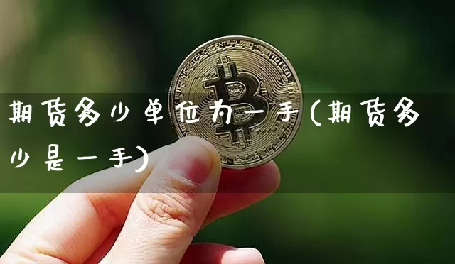 期货多少单位为一手(期货多少是一手)_https://m.zghnxxa.com_期货资讯_第1张