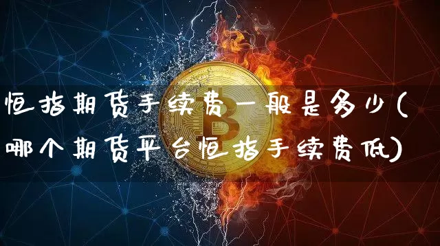 恒指期货手续费一般是多少(哪个期货平台恒指手续费低)_https://m.zghnxxa.com_纳指期货_第1张