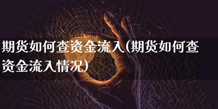 期货如何查资金流入(期货如何查资金流入情况)_https://m.zghnxxa.com_天然气期货_第1张