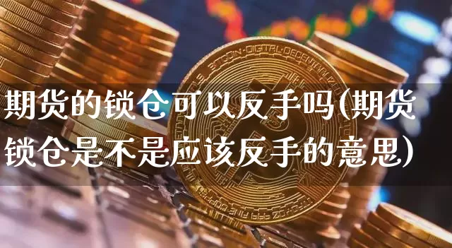 期货的锁仓可以反手吗(期货锁仓是不是应该反手的意思)_https://m.zghnxxa.com_纳指期货_第1张