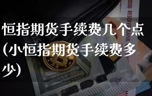 恒指期货手续费几个点(小恒指期货手续费多少)_https://m.zghnxxa.com_天然气期货_第1张