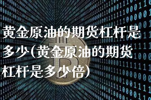 黄金原油的期货杠杆是多少(黄金原油的期货杠杆是多少倍)_https://m.zghnxxa.com_天然气期货_第1张