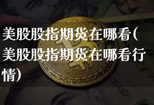 美股股指期货在哪看(美股股指期货在哪看行情)_https://m.zghnxxa.com_原油直播_第1张