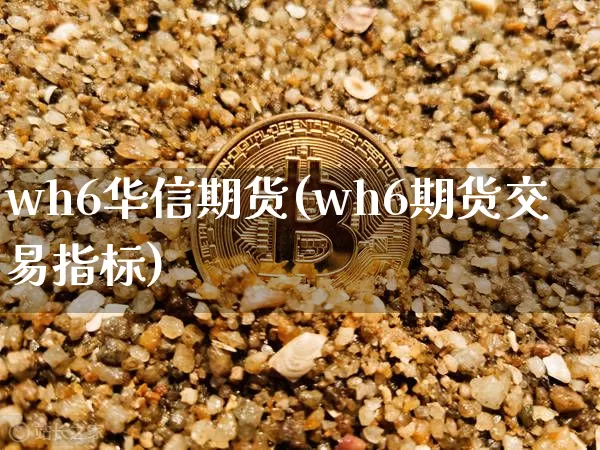 wh6华信期货(wh6期货交易指标)_https://m.zghnxxa.com_天然气期货_第1张
