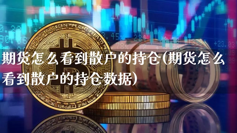 期货怎么看到散户的持仓(期货怎么看到散户的持仓数据)_https://m.zghnxxa.com_期货资讯_第1张