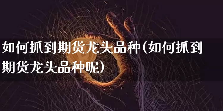 如何抓到期货龙头品种(如何抓到期货龙头品种呢)_https://m.zghnxxa.com_黄金直播_第1张