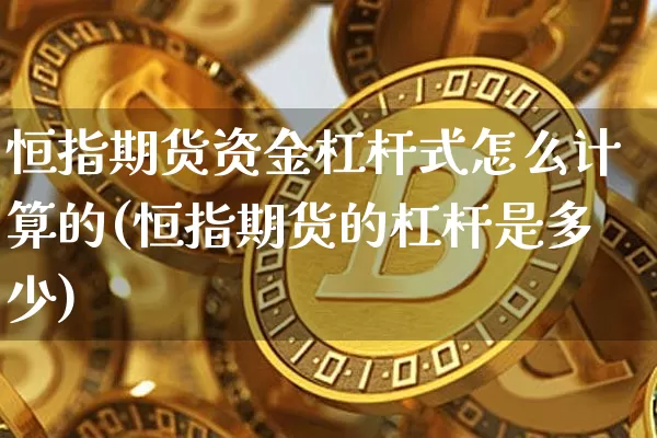 恒指期货资金杠杆式怎么计算的(恒指期货的杠杆是多少)_https://m.zghnxxa.com_期货资讯_第1张