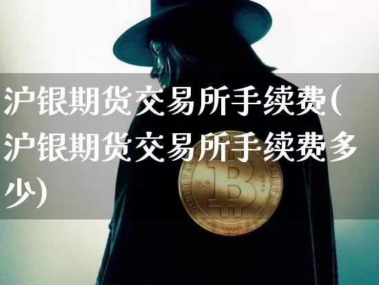 沪银期货交易所手续费(沪银期货交易所手续费多少)_https://m.zghnxxa.com_原油直播_第1张